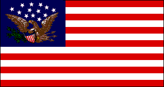 The Flag with the Eagle in the Canton